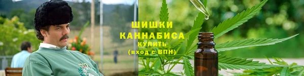 крисы Богданович